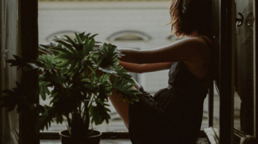 vriendschapsverdriet media