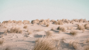 positieve psychologie