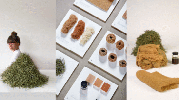 wol van dennennaalden