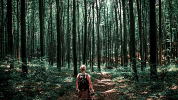Lange-afstand-wandelpaden