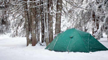 Tent in winter forest