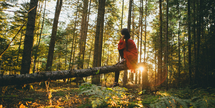 geluiden van de natuur