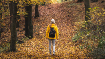Woman hiking in autumn woodland