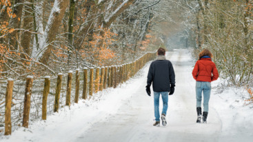 Rear view on mature couple walking on snowy footpath through forest in winter