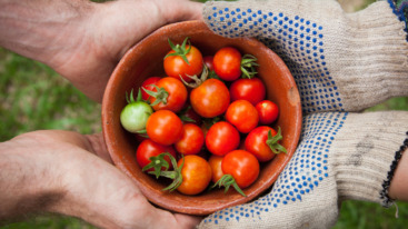boodschappen bij de boer