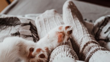 verhaaltjes voor het slapen gaan