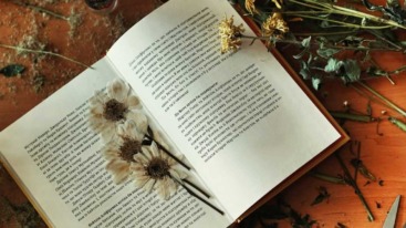 bloemen persen in een boek