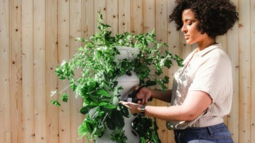 Meer insecten in je tuin krijgen