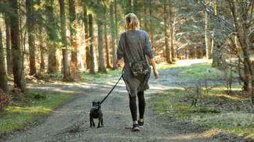 dagelijkse wandeling