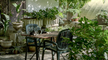 lessen uit de natuur