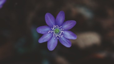 waarom je niet altijd naar je angst hoeft te luisteren