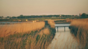 Geen wereldreis maar een jaar op het platteland in Nederland, polderlandschap in avondlicht.