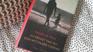 Het boek 'jij krijgt van mij een wit paard cadeau'