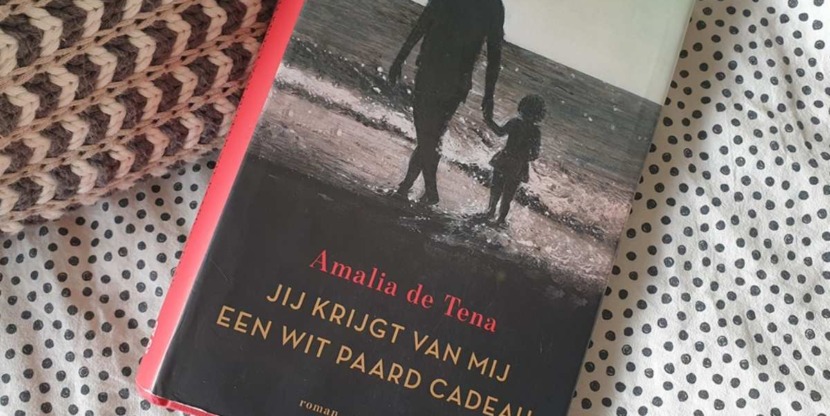 Het boek 'jij krijgt van mij een wit paard cadeau'