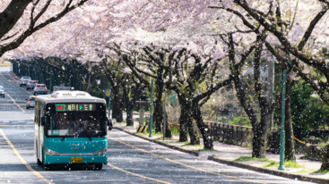Haengbog geluk zuid-korea