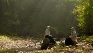 van het leven genieten