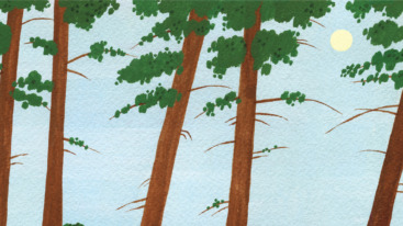 investeren in jezelf