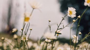 analoge fotografie workshop