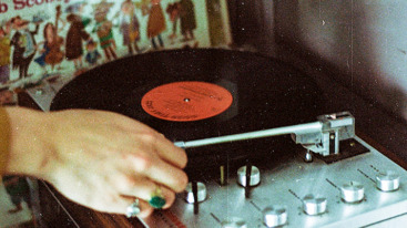 zintuigen analoog lp