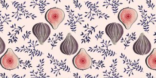 vijgen in het seizoen