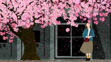 schoon huis duurzaam