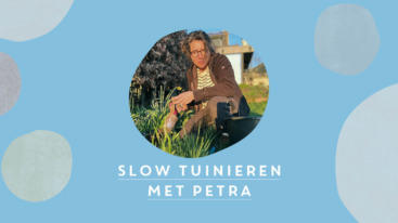 tuin snoeien voorjaar