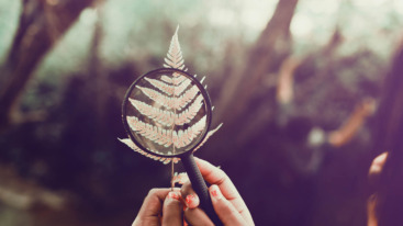 Goed Nieuws header130 – Stocksy 1440104