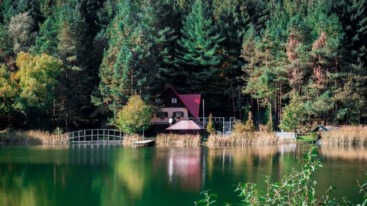 verhuizen naar de veluwe voor een huisje in het bos