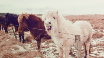 Goed Nieuws header89 – Stocksy 2797855