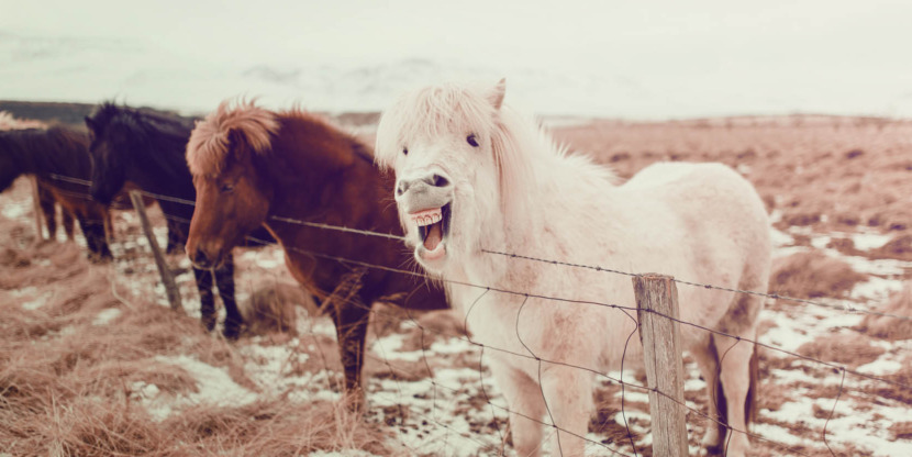 Goed Nieuws header89 – Stocksy 2797855