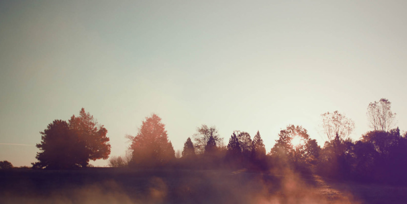 Goed Nieuws header118 – Stocksy 393166