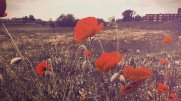 bekende mensen mentale gezondheid