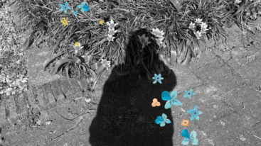 mindfulness voor de wereld