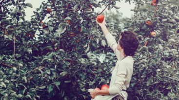 gewoontes-langer-leven