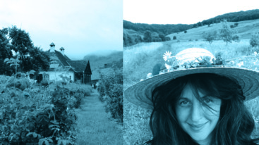 lee voedselbos blauw