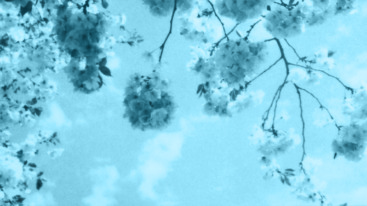 minder-mediteren blauw