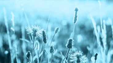 perfectionisme blauw