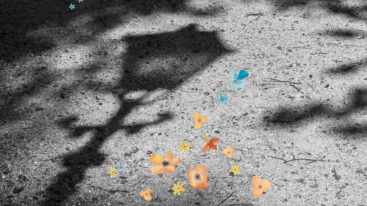 schaduw van een lantaarnpaal in de nacht