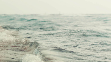 surfvakantie nederland