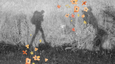 schaduwen van twee mensen die op vakantie zijn en wandelen door de natuur