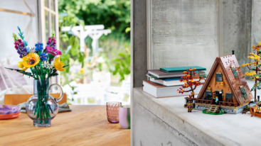 volwassenen speelgoed