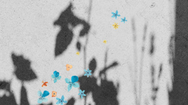 Thomas Heerma van Voss