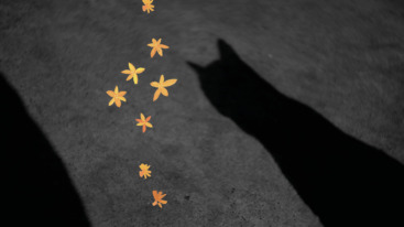 Mental health – Headers 2-35