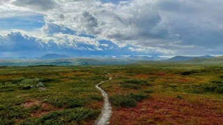 Kungsleden