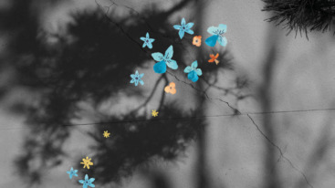 foto van schaduw van bladeren die rustig in de wind waaien