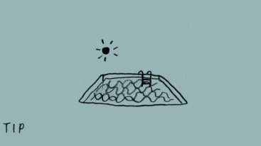 illustratie van een zwemplek in nederland