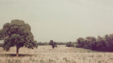 Goed Nieuws header68 – Stocksy 759854