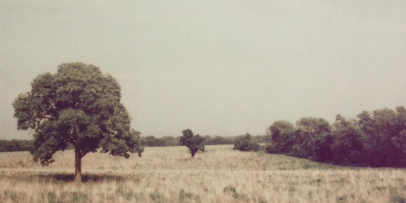 Goed Nieuws header68 – Stocksy 759854