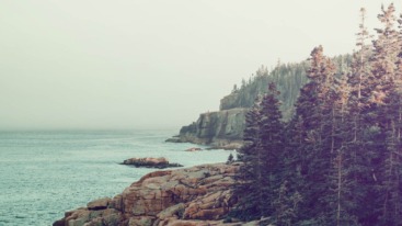 Goed Nieuws header93 – Stocksy 2122672