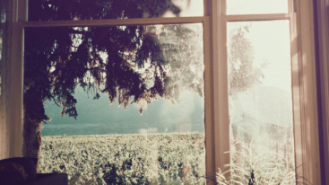 Goed Nieuws header83 – Stocksy 4028852